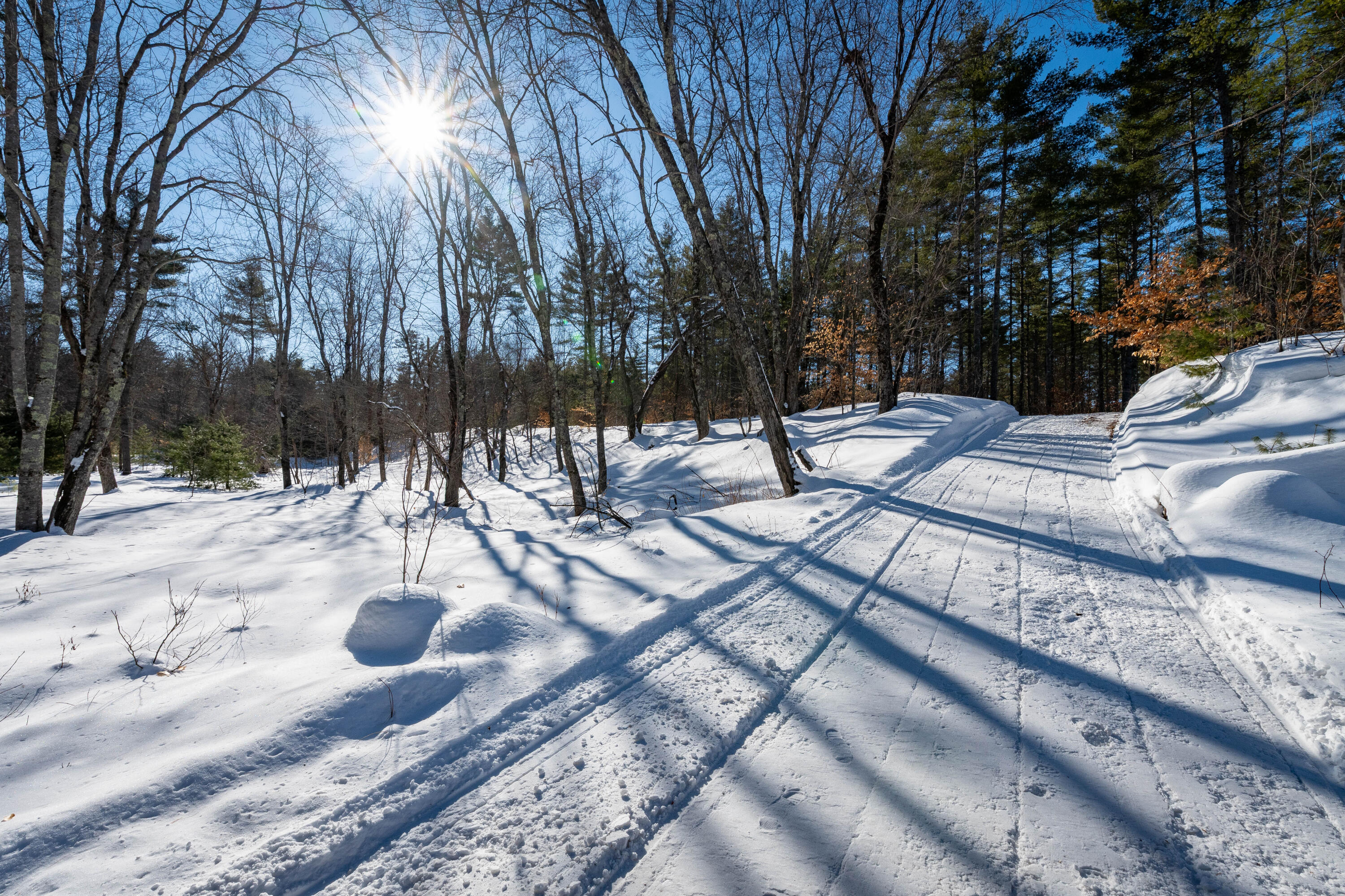 957 Lovell Road Fryeburg, ME 04037 - Photo 11 of 25 Trail Corridor