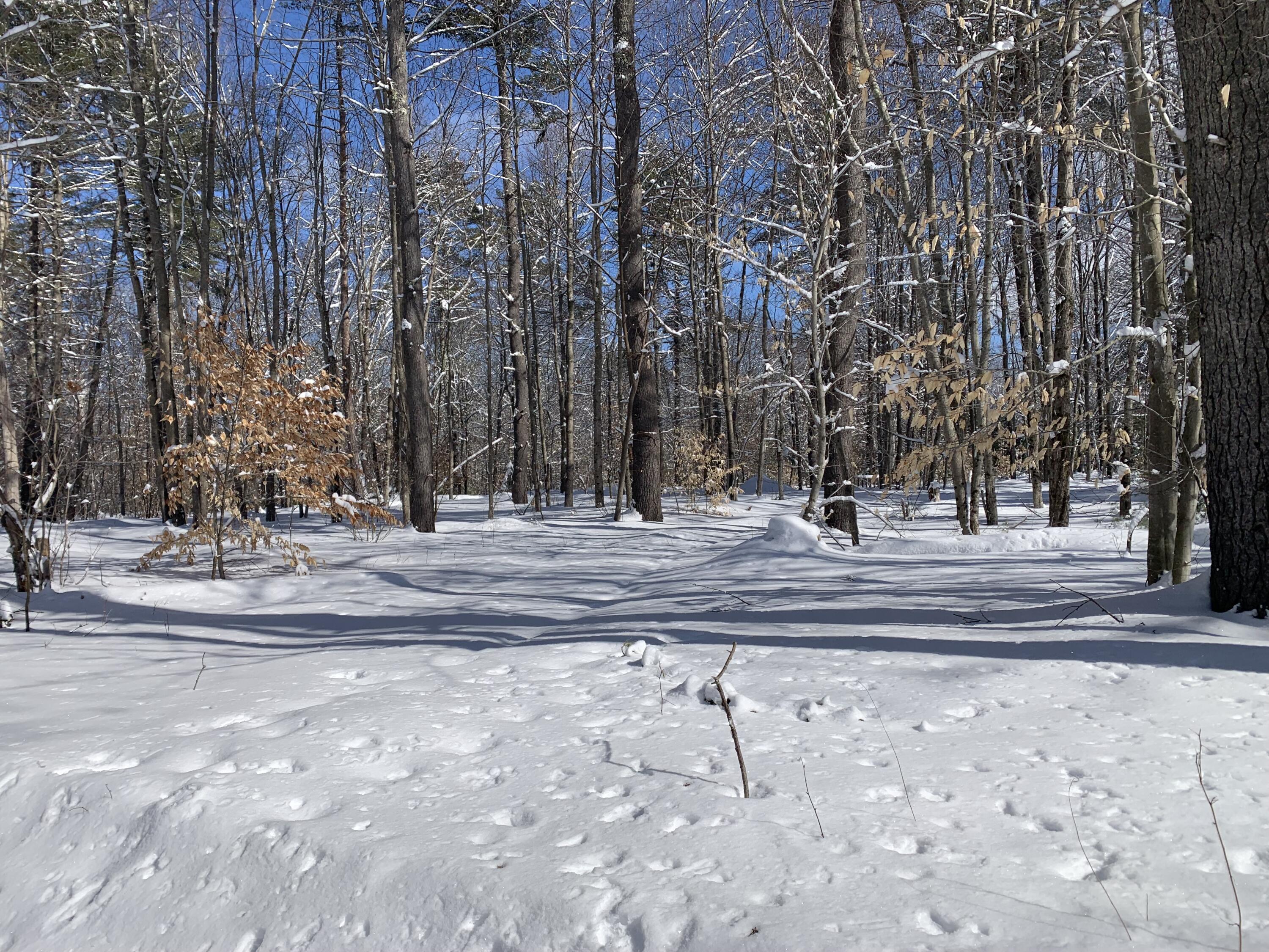 957 Lovell Road Fryeburg, ME 04037 - Photo 12 of 25 Woods Vibe