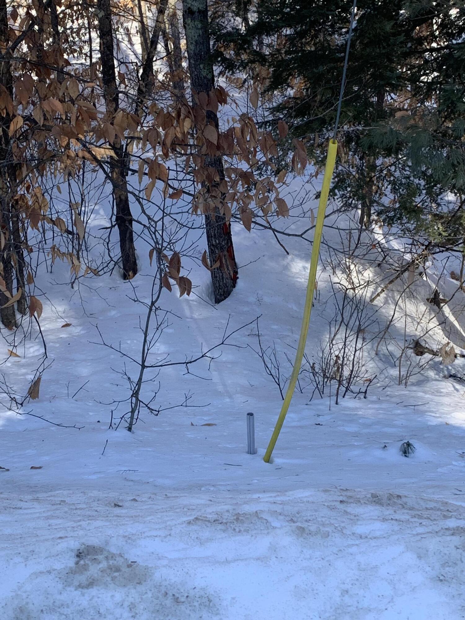 957 Lovell Road Fryeburg, ME 04037 - Photo 17 of 25 Northern Pin on Route 5