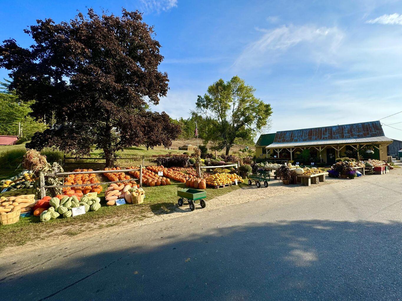 957 Lovell Road Fryeburg, ME 04037 - Photo 23 of 25 Weston's Farm Store
