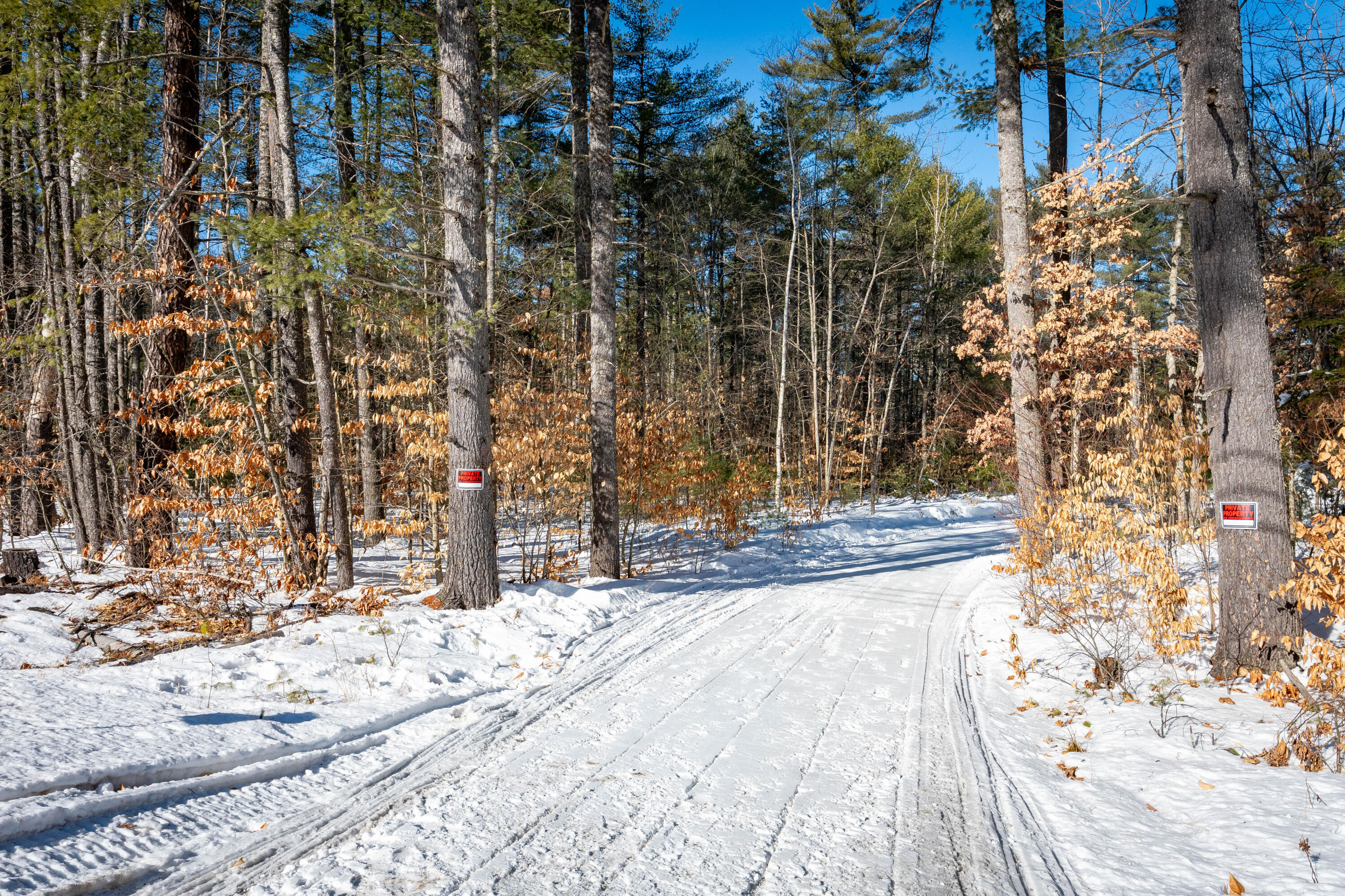 957 Lovell Road Fryeburg, ME 04037 - Photo 4 of 25 Southern Edge of Lot -- Trail