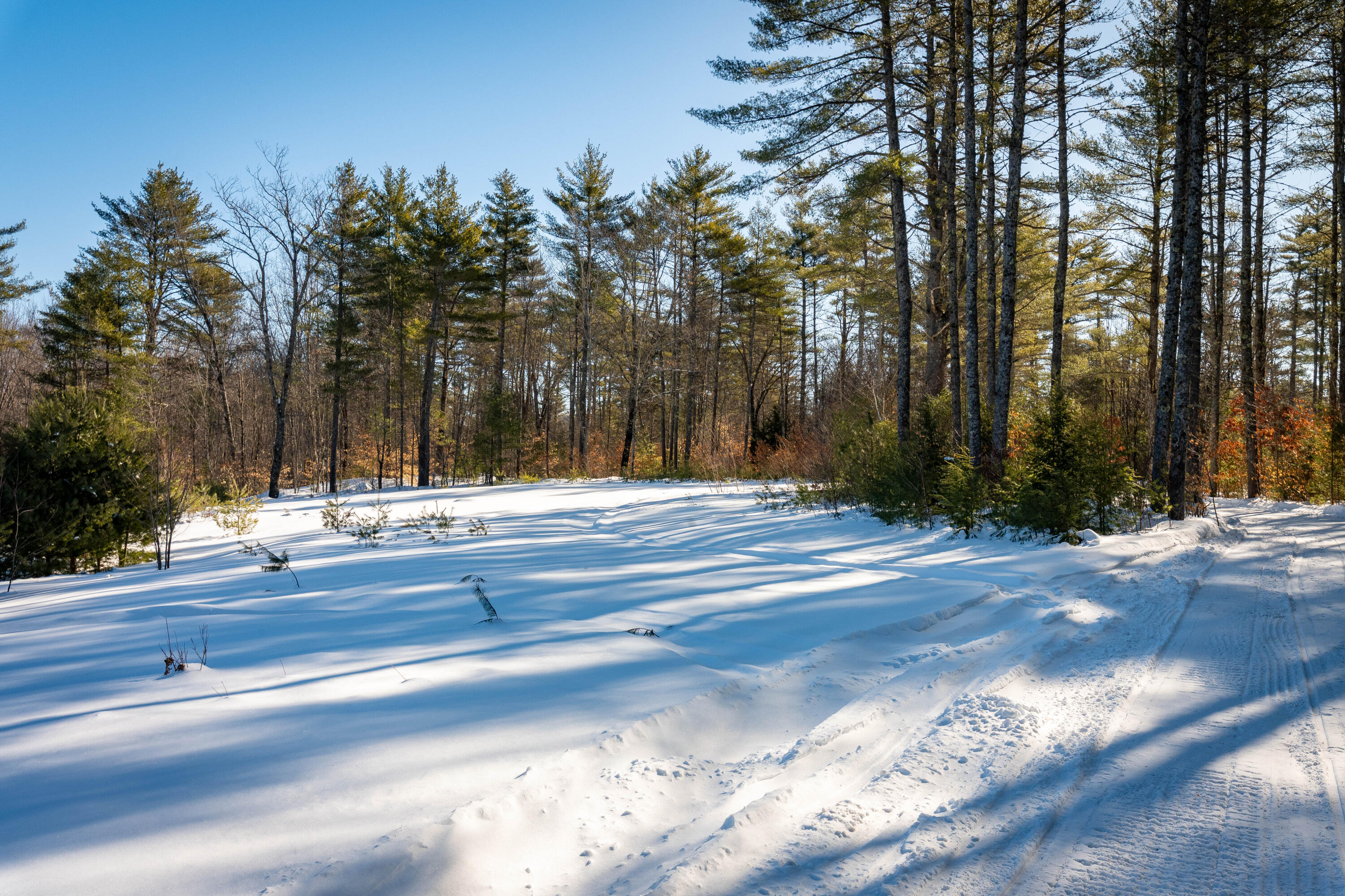 957 Lovell Road Fryeburg, ME 04037 - Photo 8 of 25 Your Vision