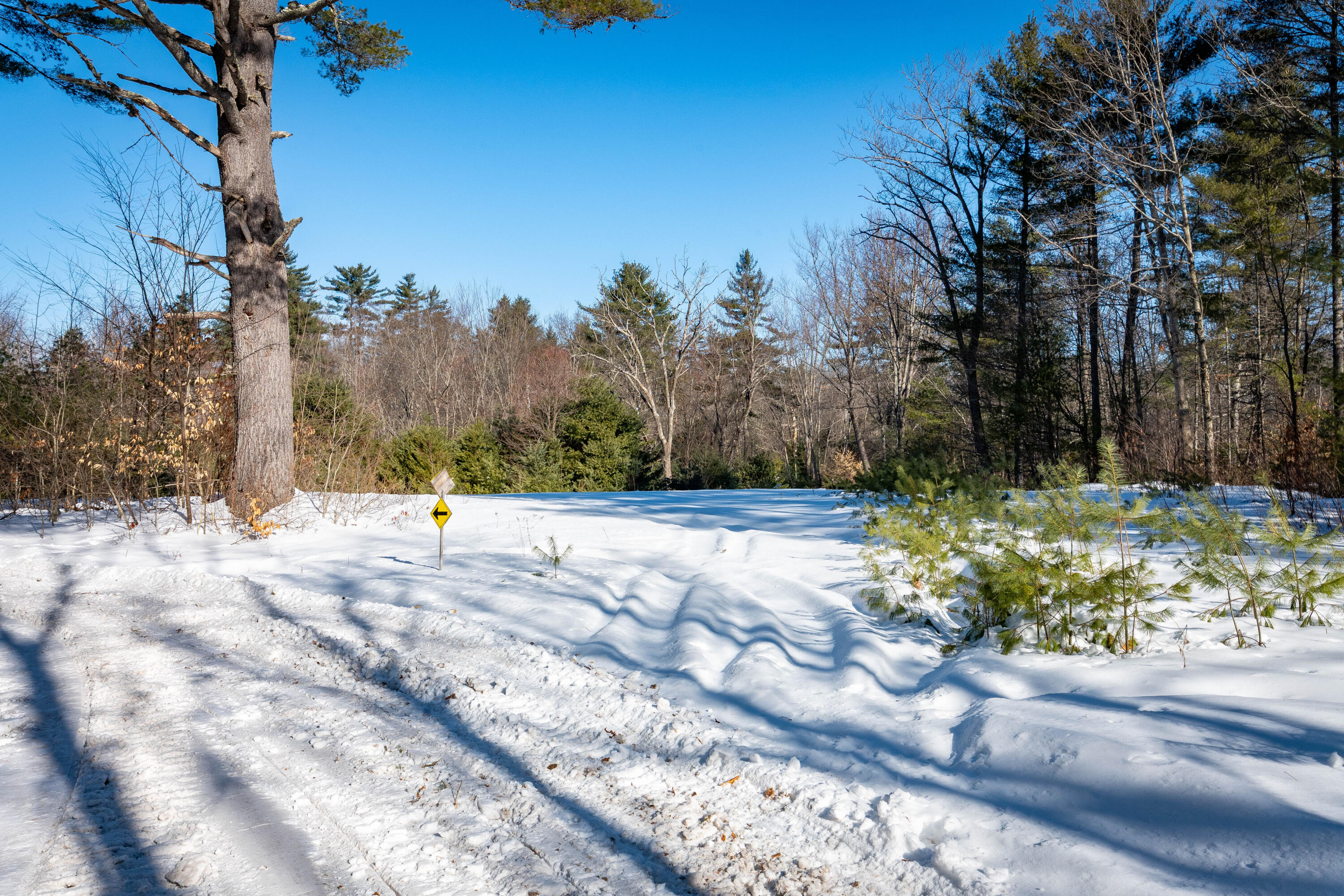 957 Lovell Road Fryeburg, ME 04037 - Photo 9 of 25 Guardian Pines
