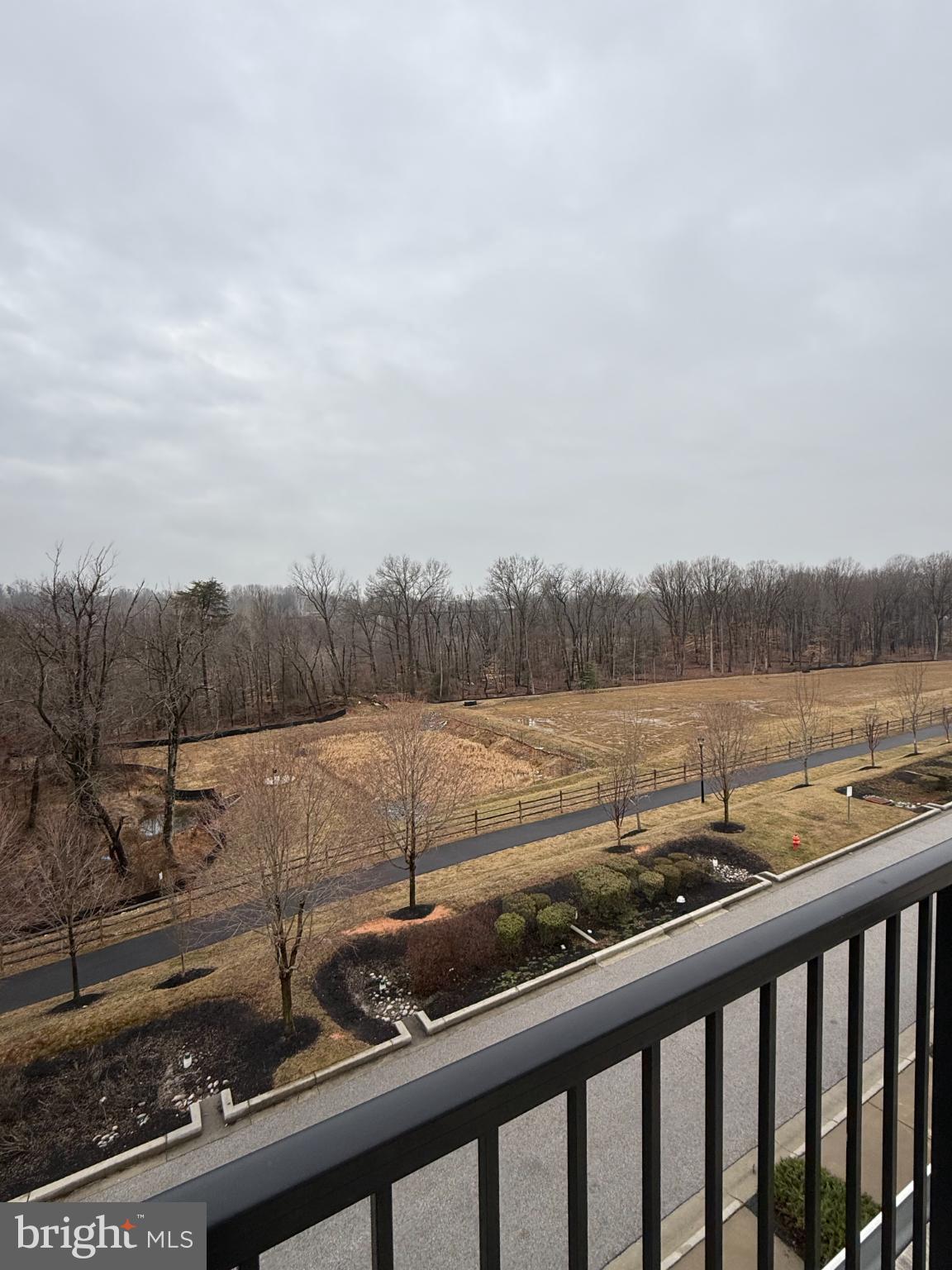 7018 Foxton Way Hanover, MD 21076 - Photo 56 of 72 Serene view of nature's quiet embrace.
