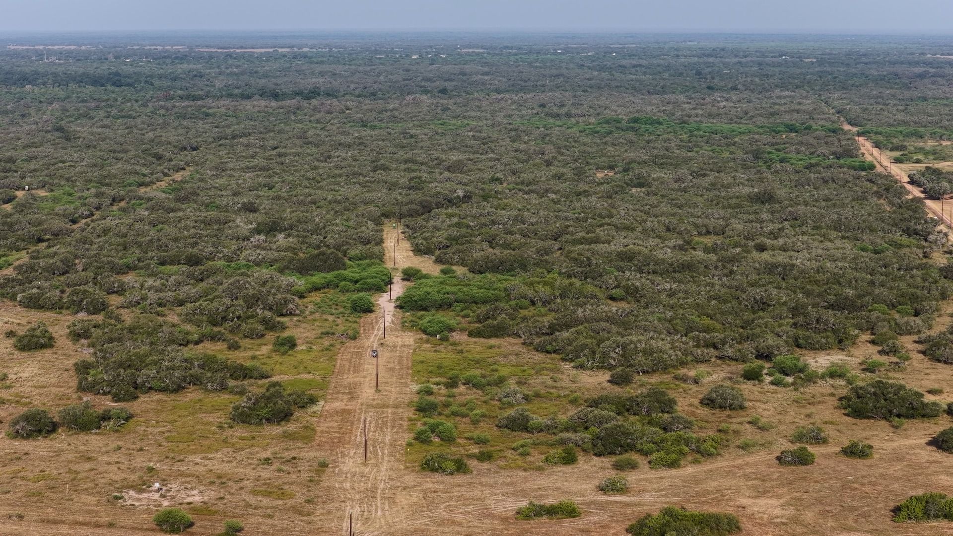251 Old Goliad Road Refugio, TX 78377 - Photo 23 of 40 Mature woodlands and native brush spread across the vast Texas countryside under clear blue skies.