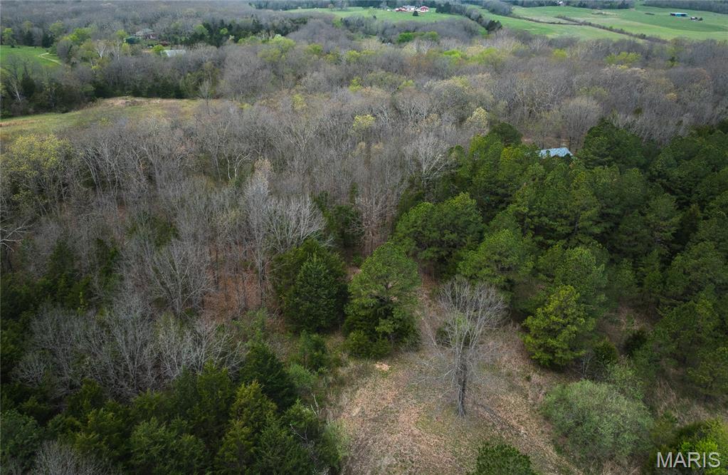 214 South Hobby Hut Road Leasburg, MO 65535 - Photo 30 of 39