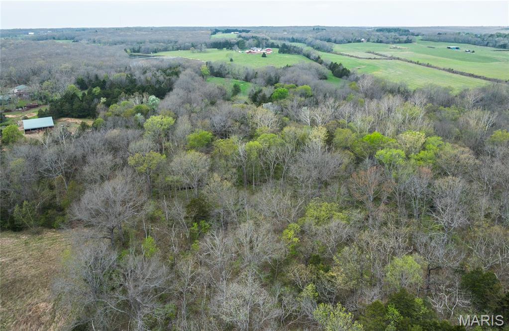 214 South Hobby Hut Road Leasburg, MO 65535 - Photo 31 of 39