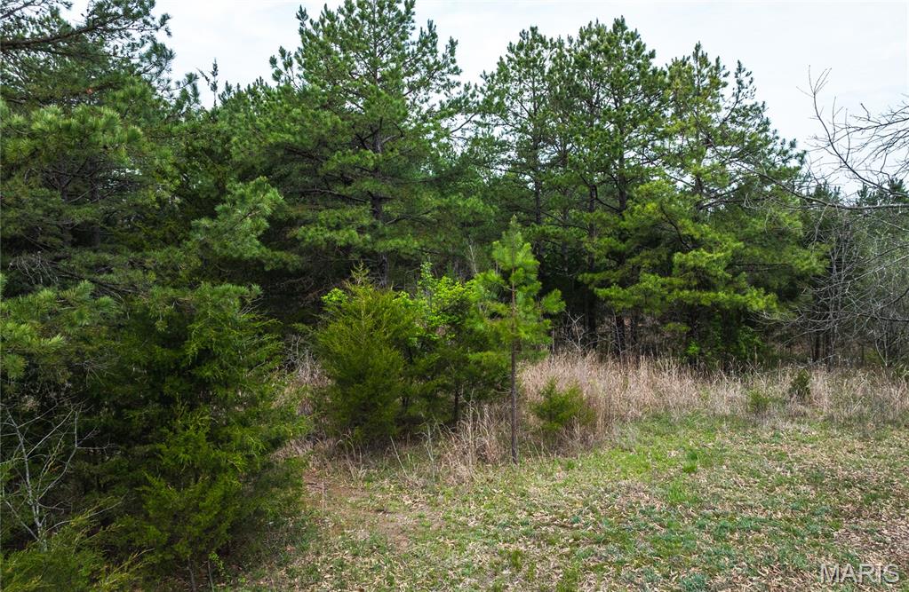 214 South Hobby Hut Road Leasburg, MO 65535 - Photo 34 of 39