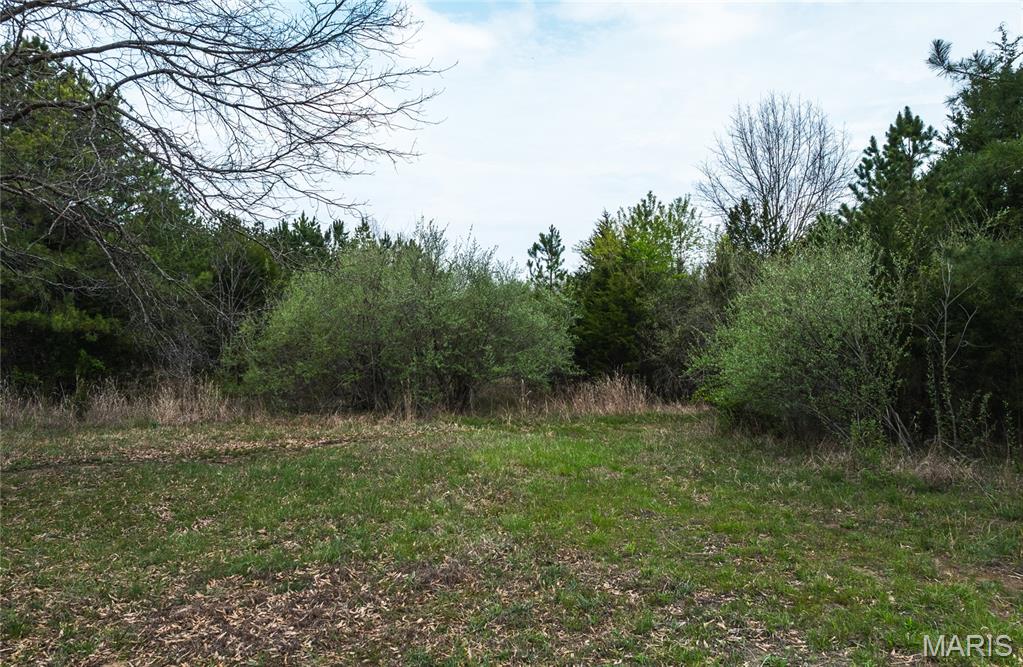 214 South Hobby Hut Road Leasburg, MO 65535 - Photo 36 of 39