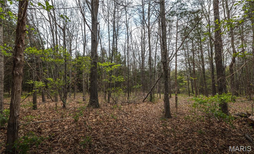 214 South Hobby Hut Road Leasburg, MO 65535 - Photo 37 of 39