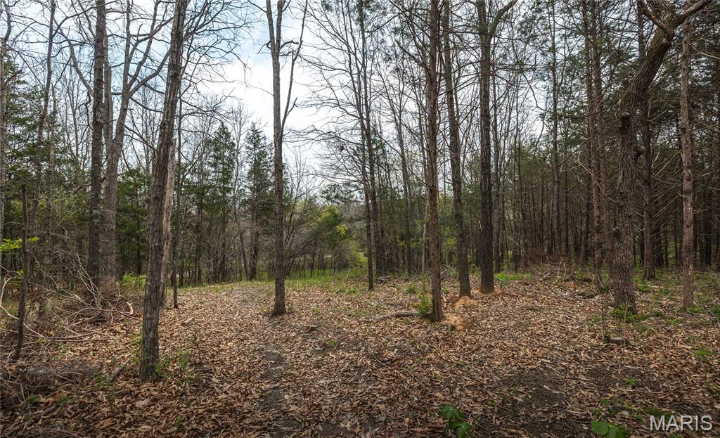 214 South Hobby Hut Road Leasburg, MO 65535 - Photo 38 of 39