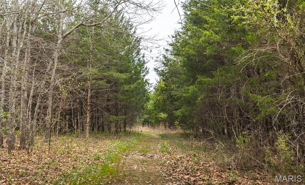 214 South Hobby Hut Road Leasburg, MO 65535 - Photo 39 of 39