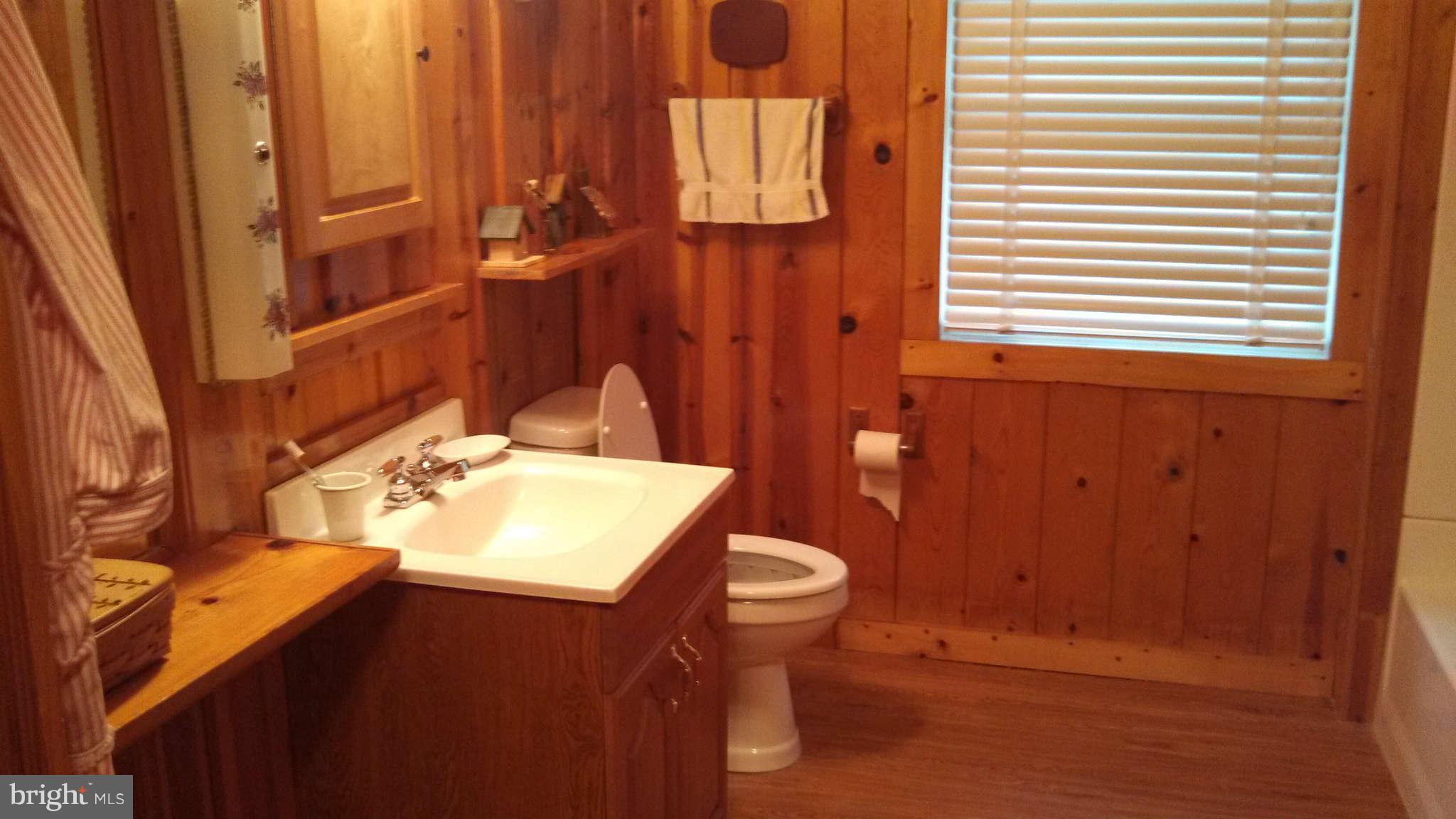 24063 Friendship Road Preston, MD 21655 - Photo 10 of 15 Bath