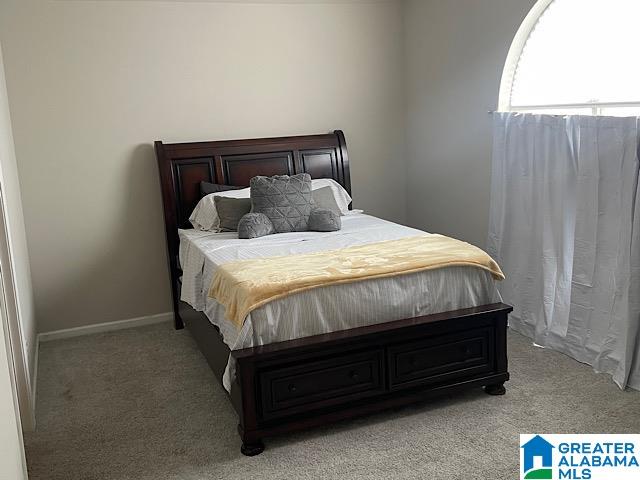 259 Cambrian Ridge Trail Pelham, AL 35124 - Photo 17 of 21