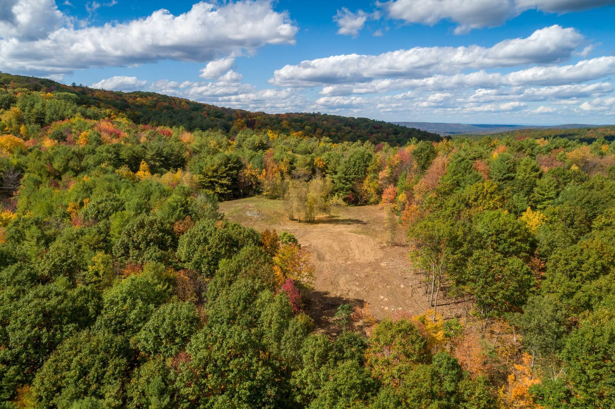 Ridge Road East Chatham, NY 12060 - Photo 11 of 11 Photo 11