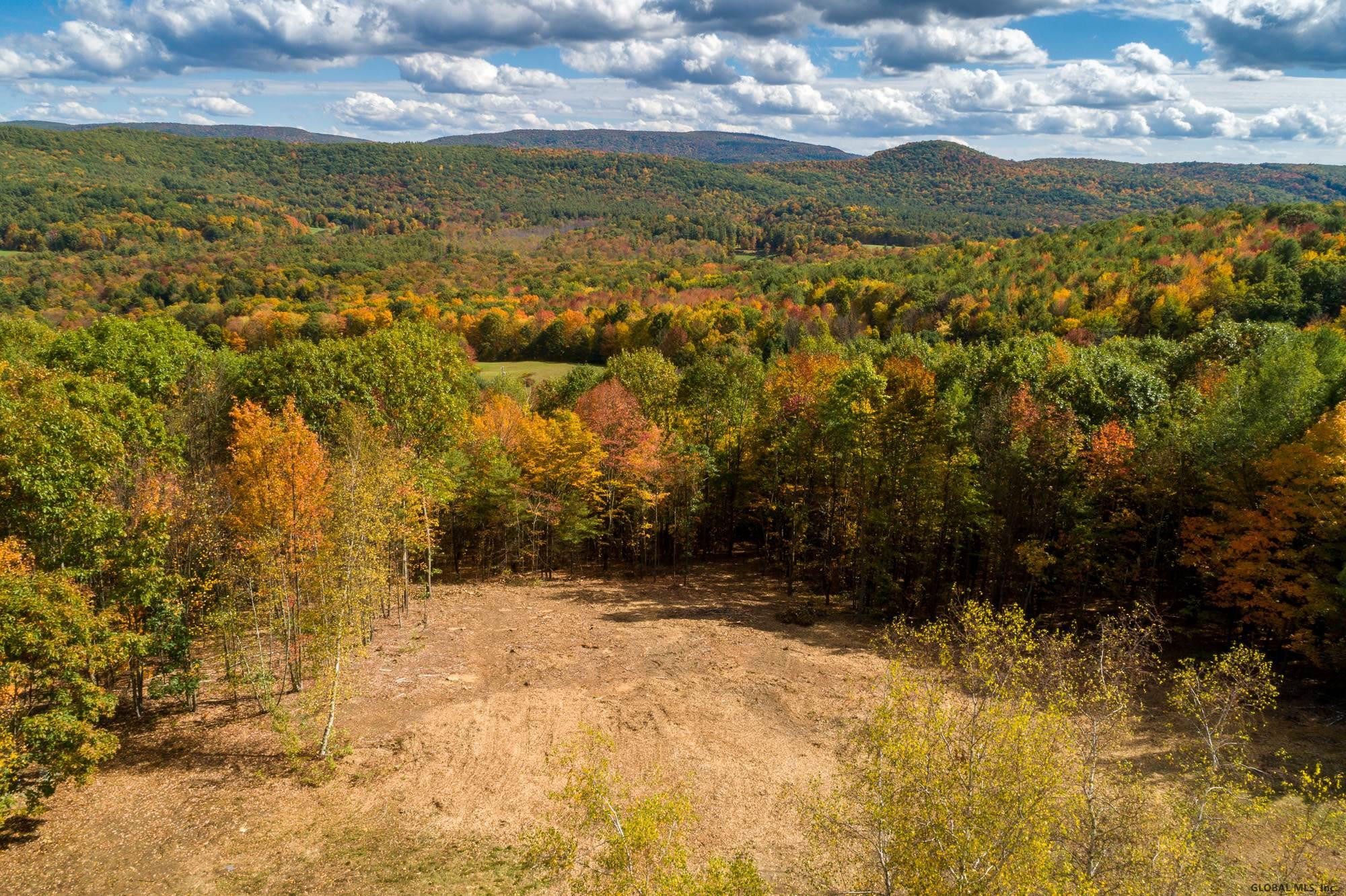 Ridge Road East Chatham, NY 12060 - Photo 2 of 11 Photo 2
