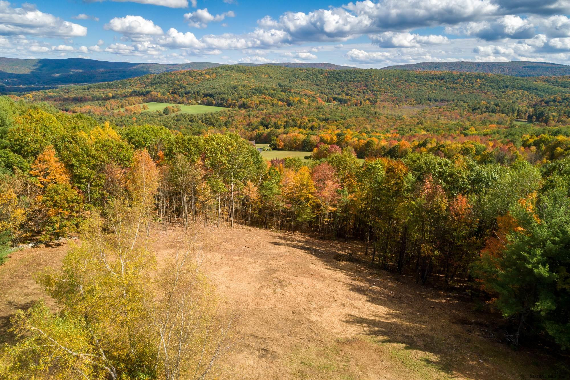 Ridge Road East Chatham, NY 12060 - Photo 3 of 11 Photo 3