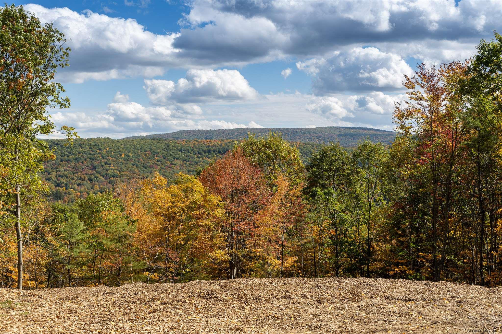 Ridge Road East Chatham, NY 12060 - Photo 4 of 11 Photo 4