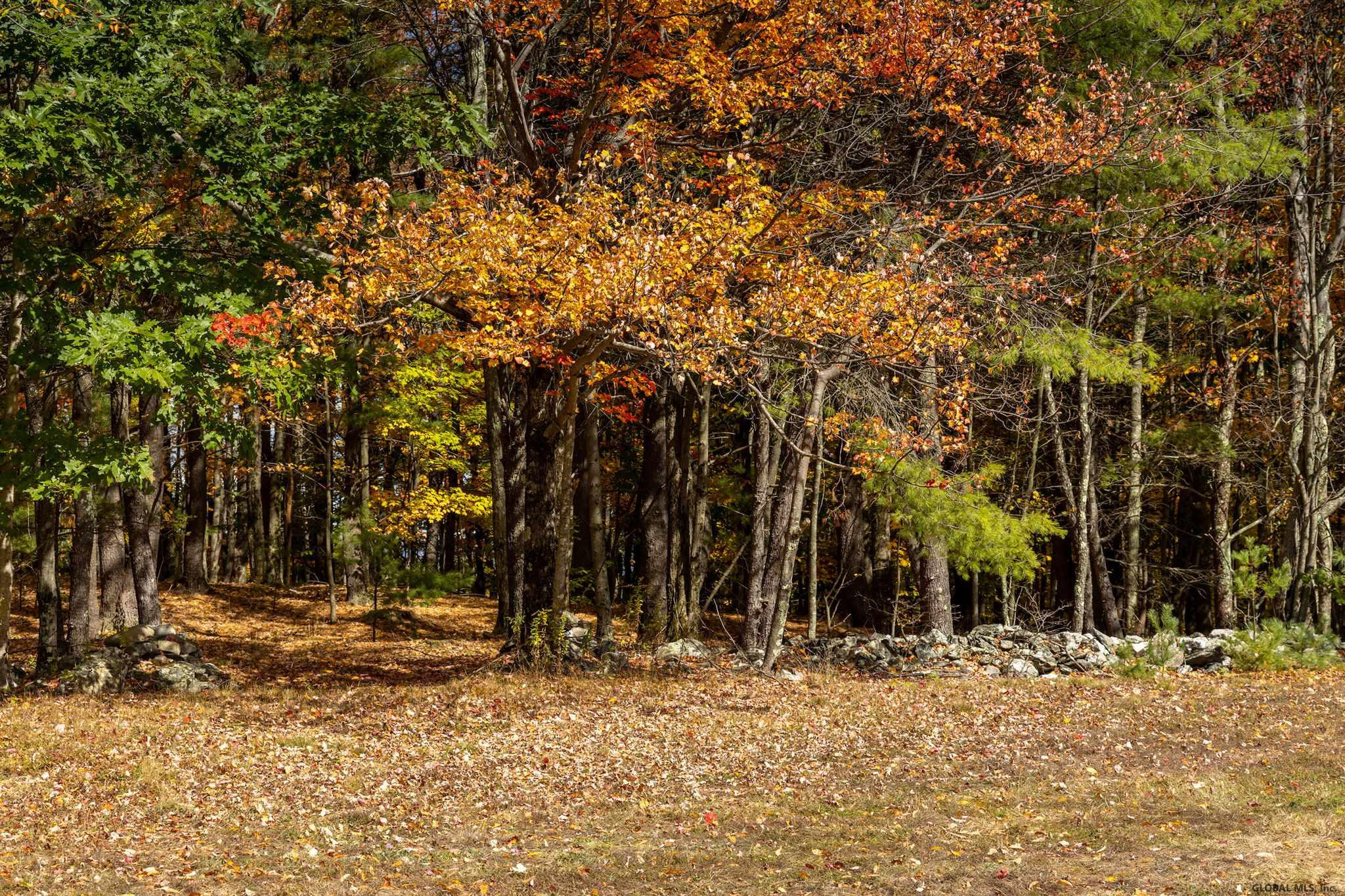 Ridge Road East Chatham, NY 12060 - Photo 6 of 11 Photo 6