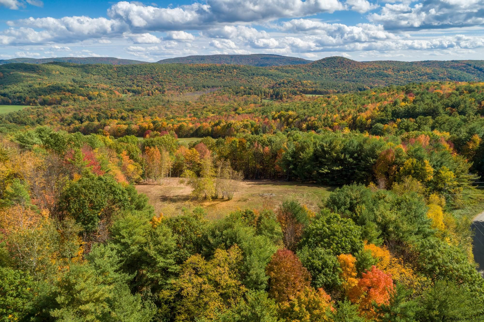 Ridge Road East Chatham, NY 12060 - Photo 7 of 11 Photo 7