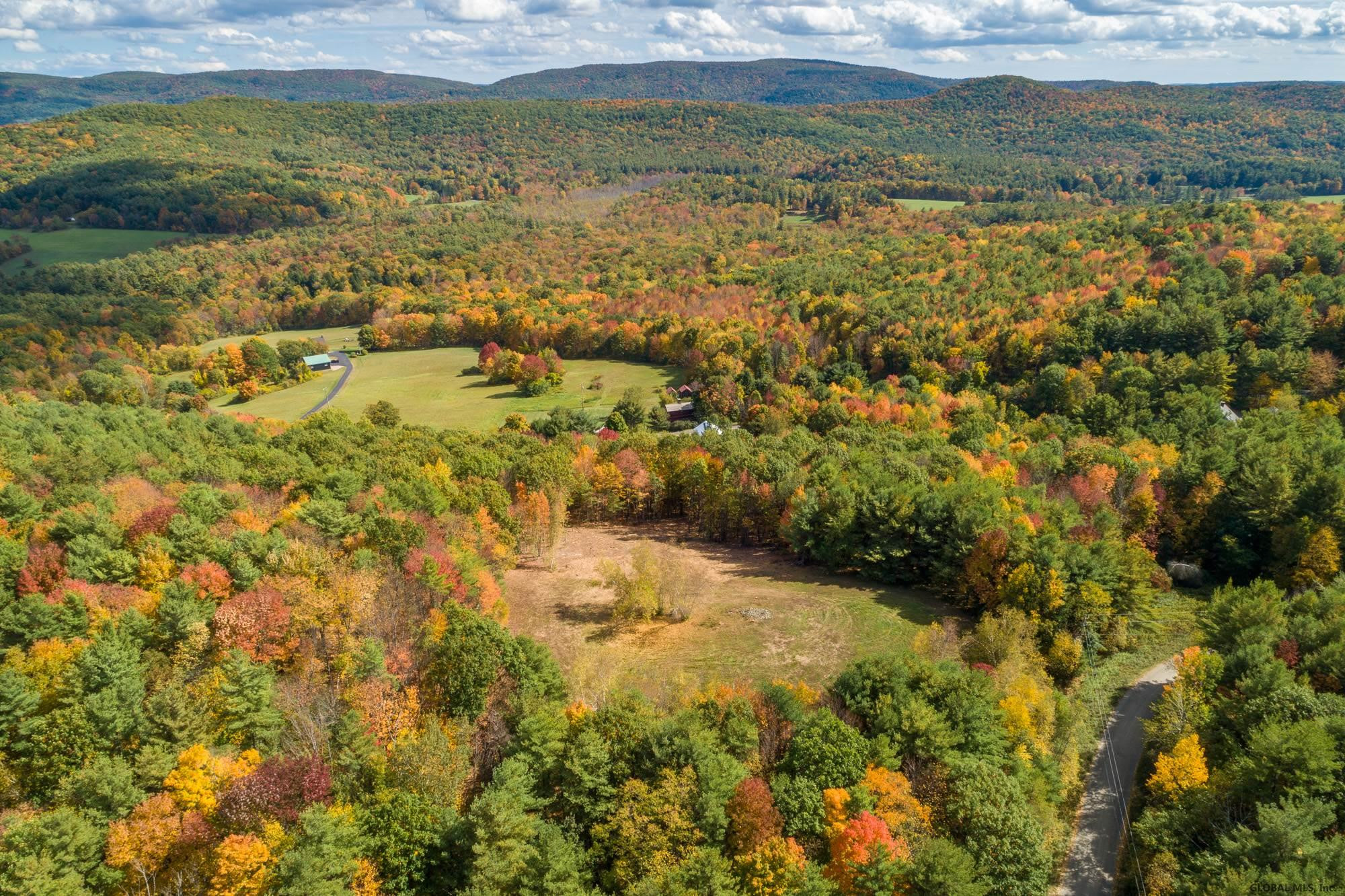 Ridge Road East Chatham, NY 12060 - Photo 8 of 11 Photo 8