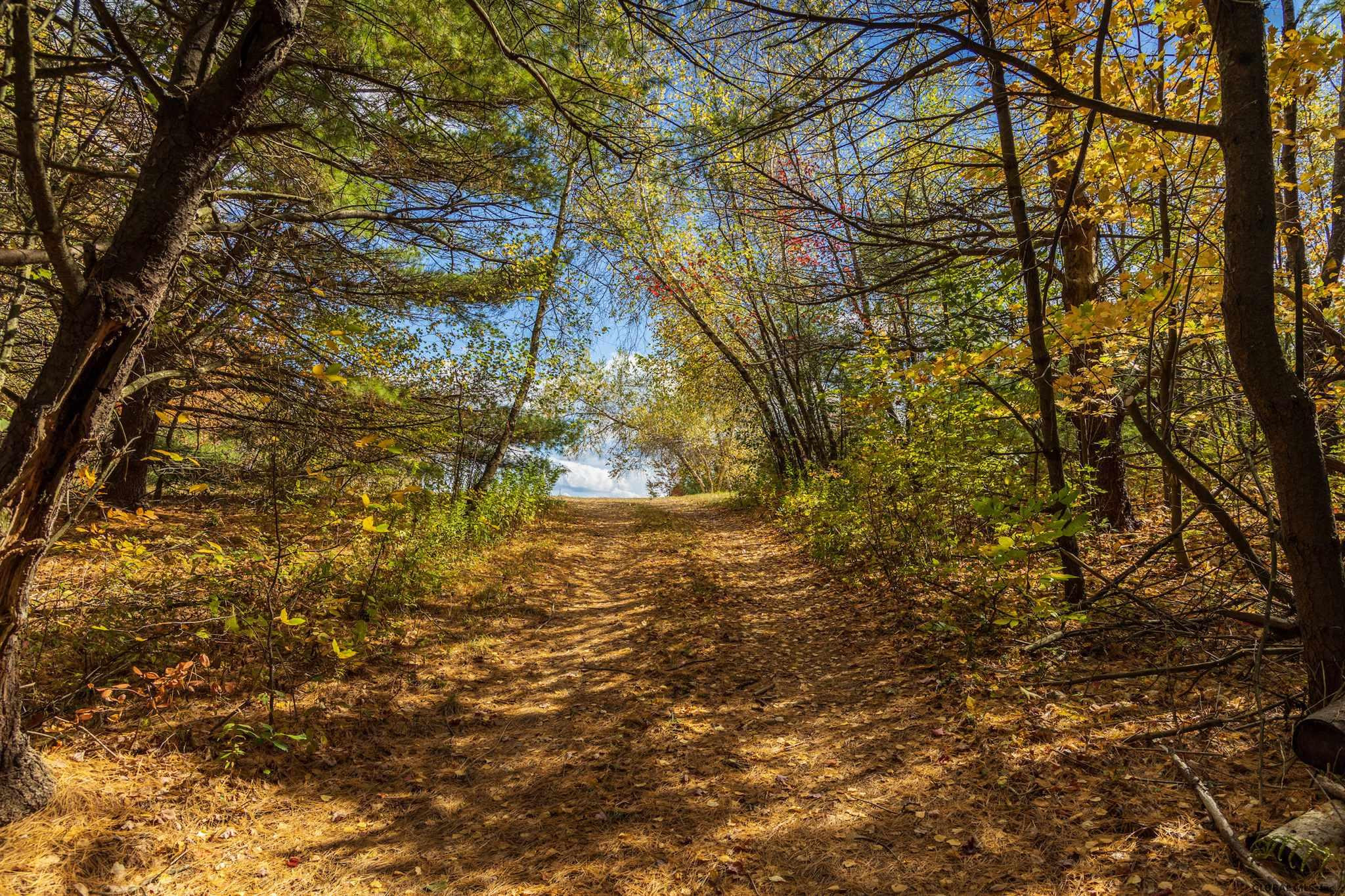 Ridge Road East Chatham, NY 12060 - Photo 9 of 11 Photo 9