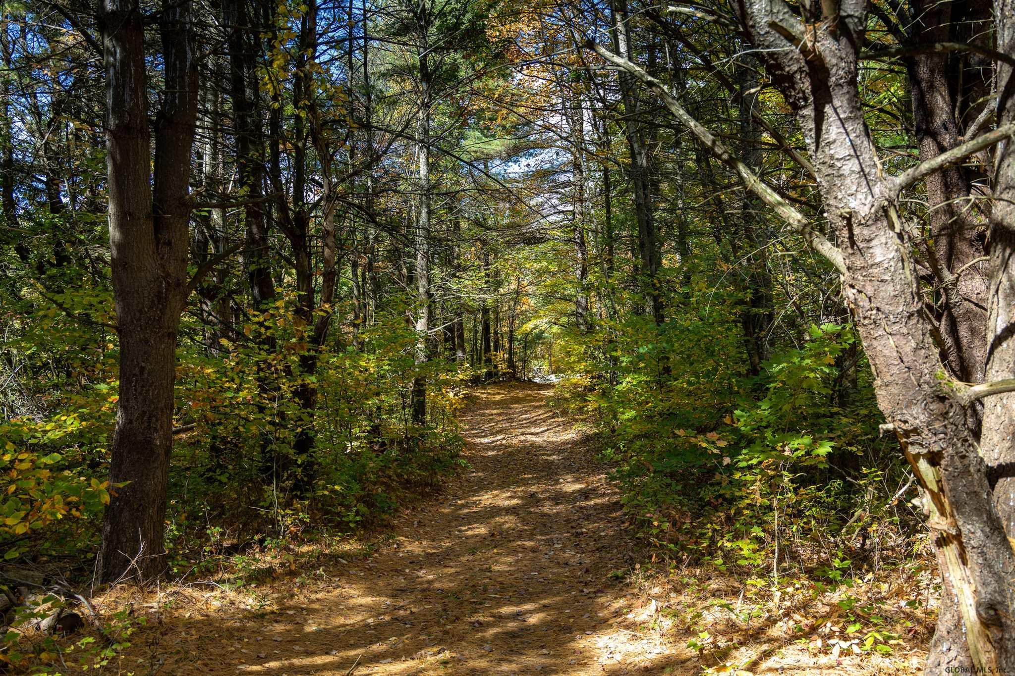 Ridge Road East Chatham, NY 12060 - Photo 10 of 11 Photo 10