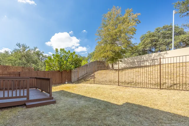 a view of backyard and tree