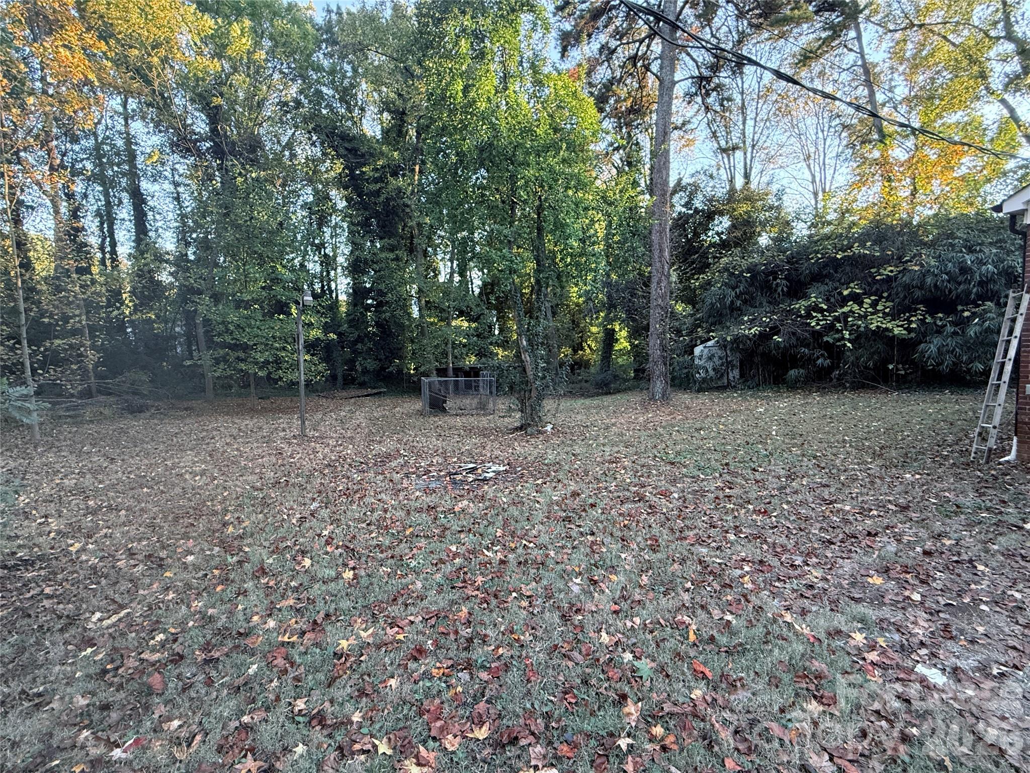 9225 Moores Chapel Road Charlotte, NC 28214 - Photo 19 of 19 a backyard of a house with lots of green space