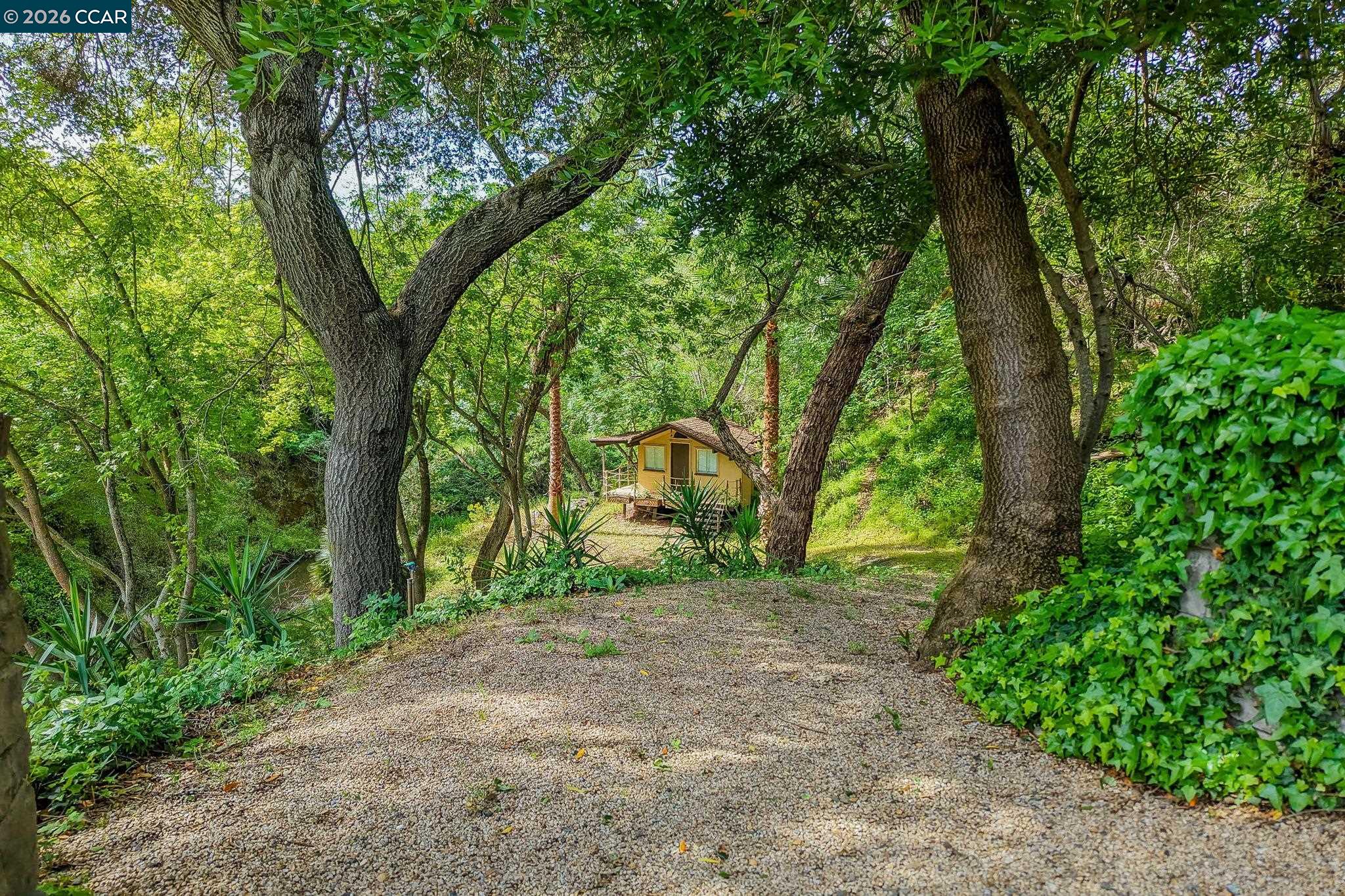 490 St Marys Road Lafayette, CA 94549 - Photo 53 of 61 a big yard with lots of green space and trees