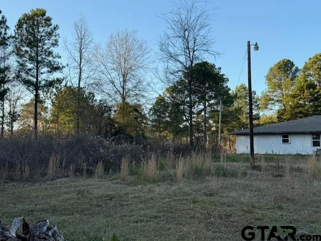 a view of an ocean and yard