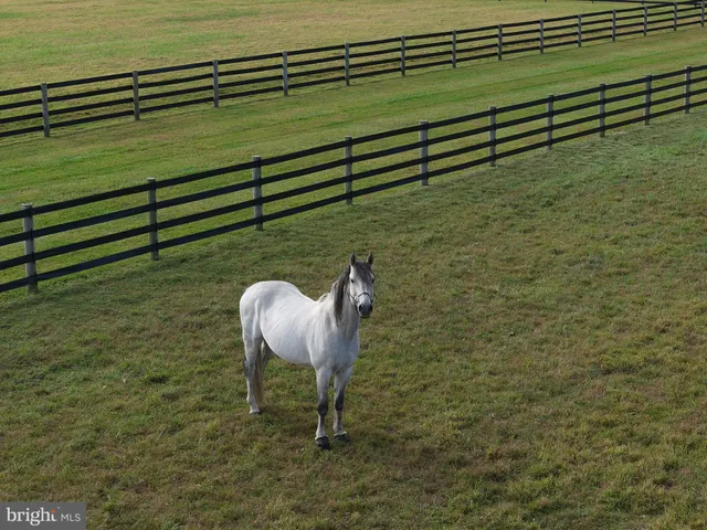 $7,195,000 | 101 Harbourton Woodsville Road, Lambertville, NJ 08530