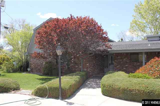 a view of a back yard