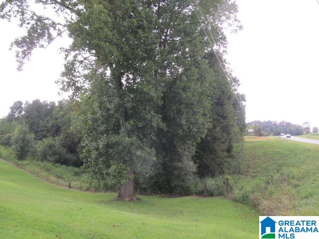 79 Highway 79, Unit 33 Cleveland, AL 35049 - Photo 3 of 32