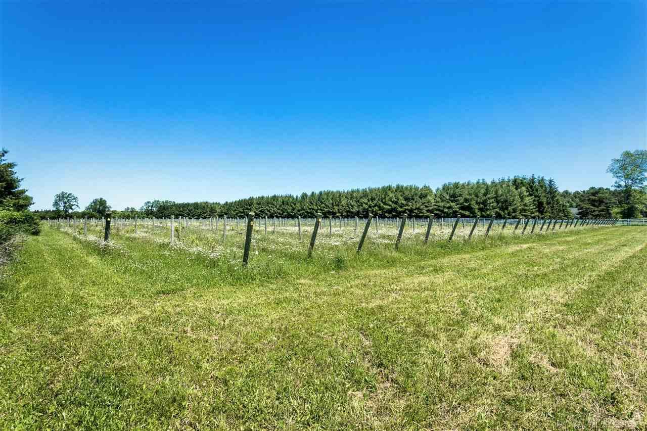 7131 Holverson Road Carsonville, MI 48419 - Photo 88 of 89 50079805-87.JPG