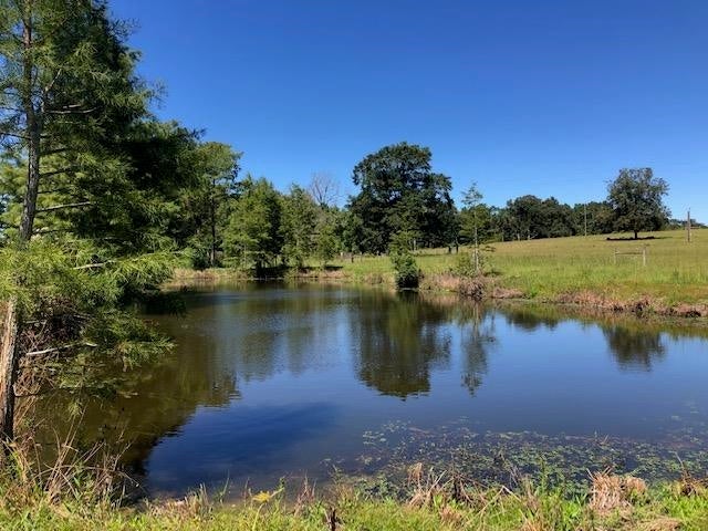28-ac Prescott Road Florala, AL 36442 - Photo 1 of 36 Gallery Image 1