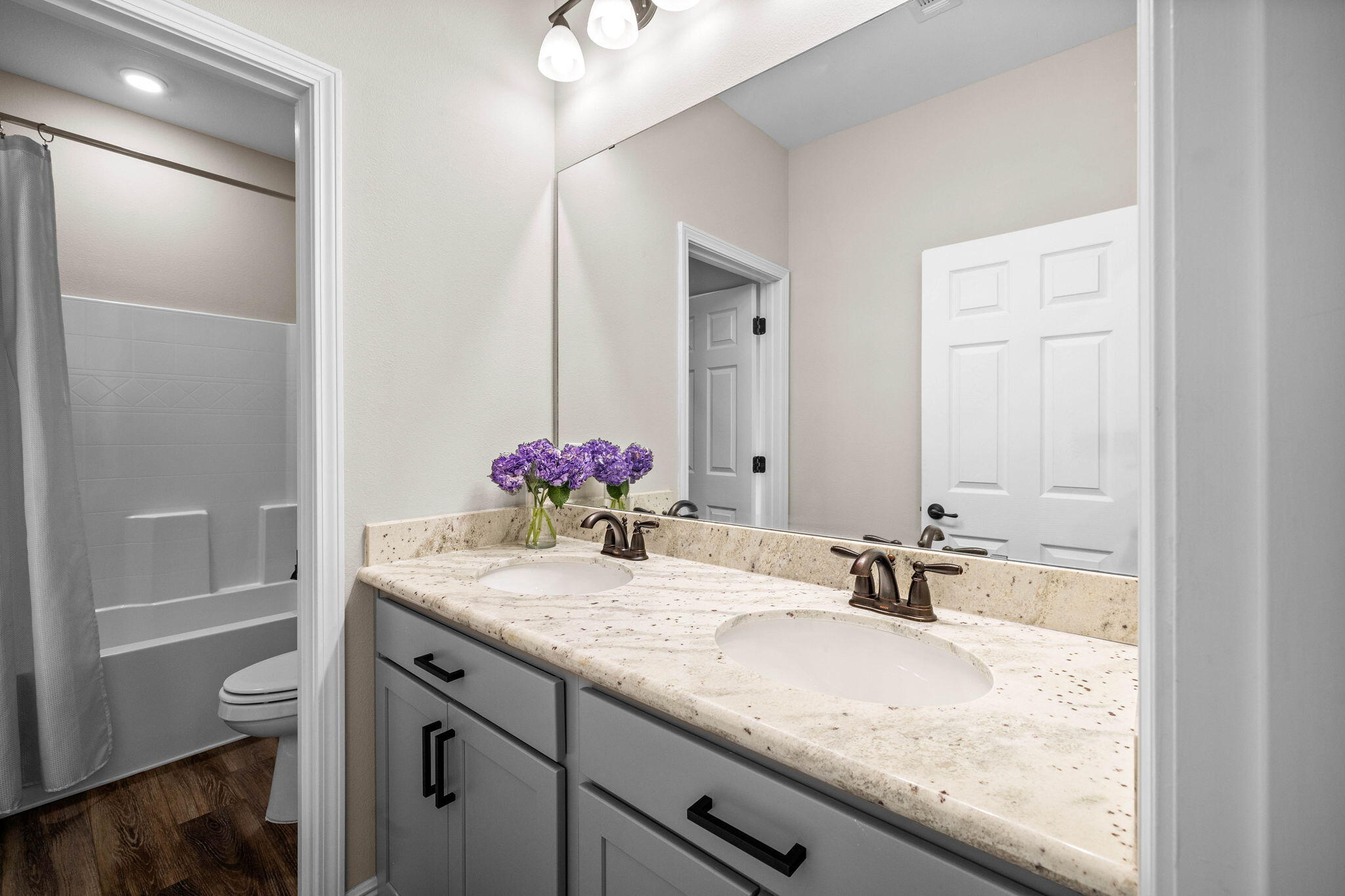 1297 Brushed Dune Circle Freeport, FL 32439 - Photo 38 of 73 a bathroom with a granite countertop sink and a mirror