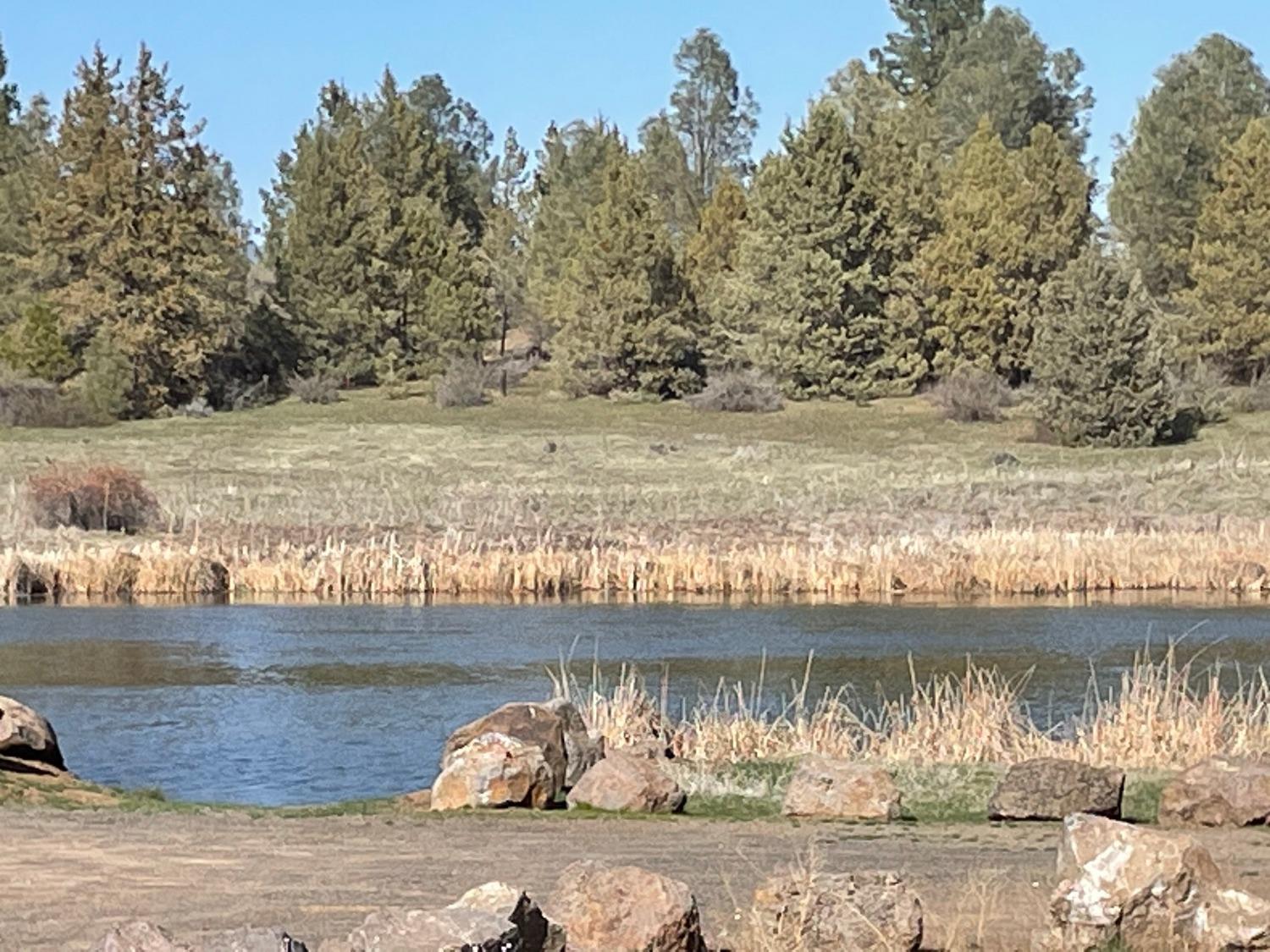0 Highway 299 Fall River Mills, CA 96028 - Photo 11 of 17 a view of a water yard