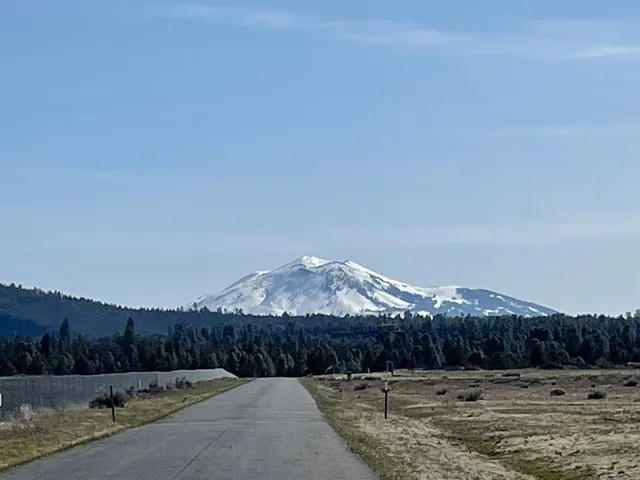 a view of a water yard
