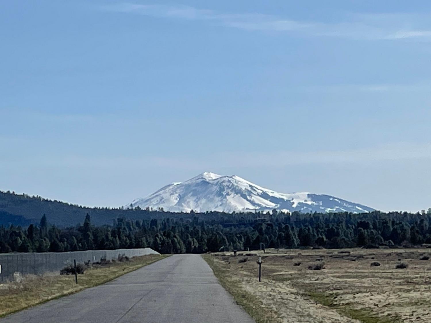 0 Highway 299 Fall River Mills, CA 96028 - Photo 10 of 17