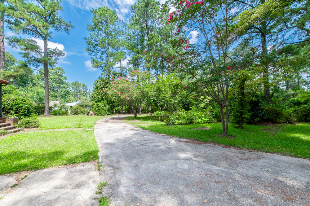 1433 Pine Log Road Aiken, SC 29803 - Photo 4 of 17 Front Yard!