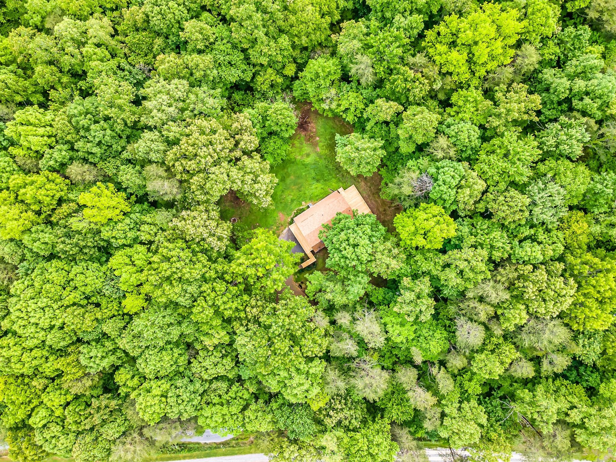 916 Gamble Drive Heiskell, TN 37754 - Photo 27 of 29 a backyard of a house with lots of green space