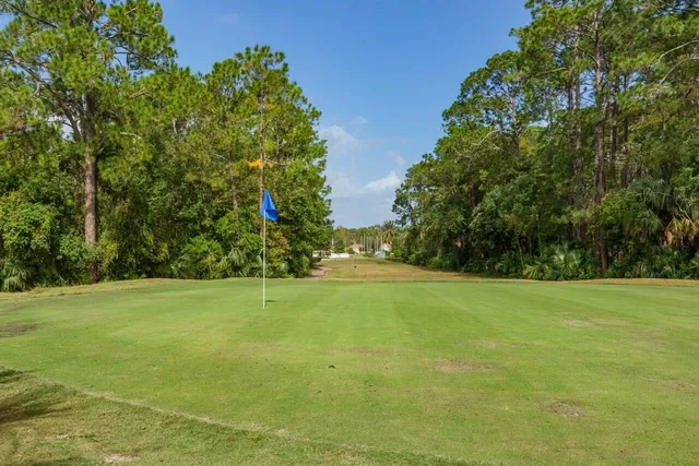a living room with furniture a rug and a fireplace