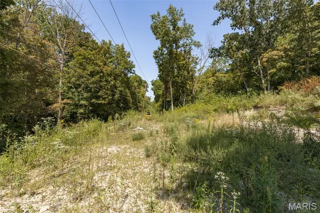 $16,999 | 3-4 Theodoro Acres, Herculaneum, MO 63048