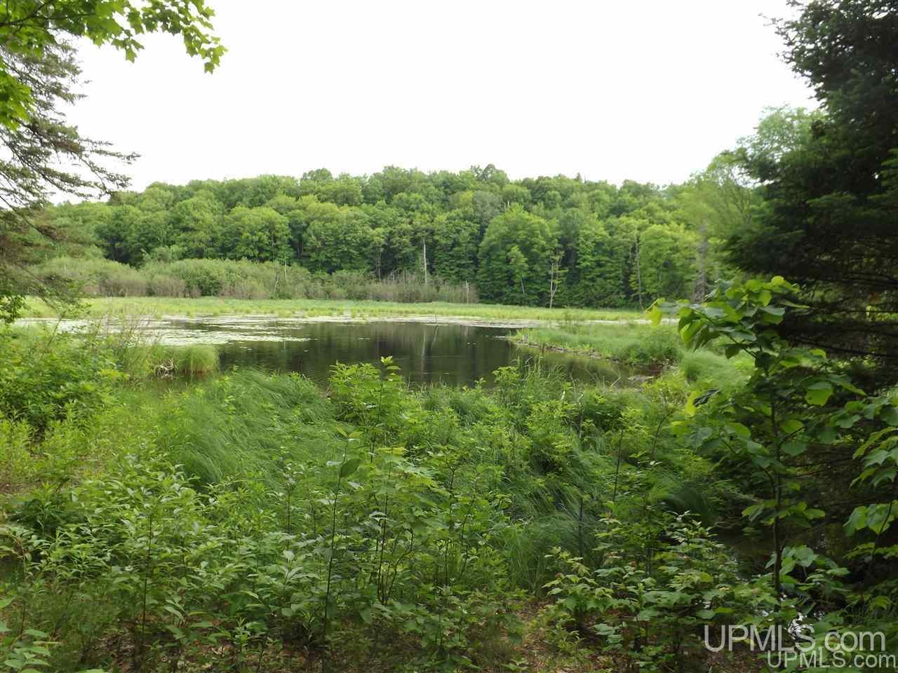 Tbd Off Indian Road Lanse, MI 49946 - Photo 8 of 14
