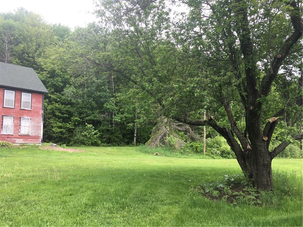 411 Ellis River Road Rumford, ME 04276 - Photo 5 of 26 Apple trees on the property and side...