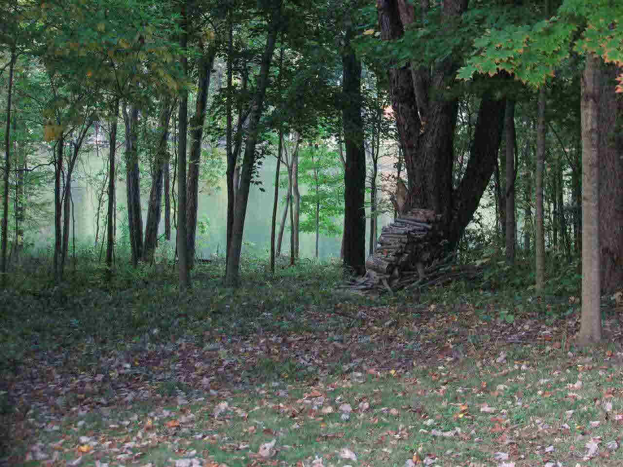 8420 South 560 E Road Selma, IN 47383 - Photo 8 of 27 Gallery Image 8
