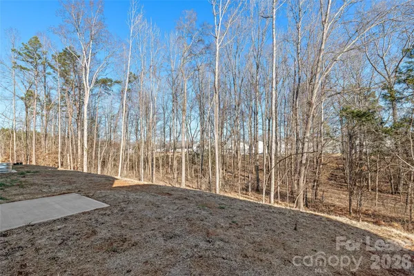 a view of backyard with tall trees
