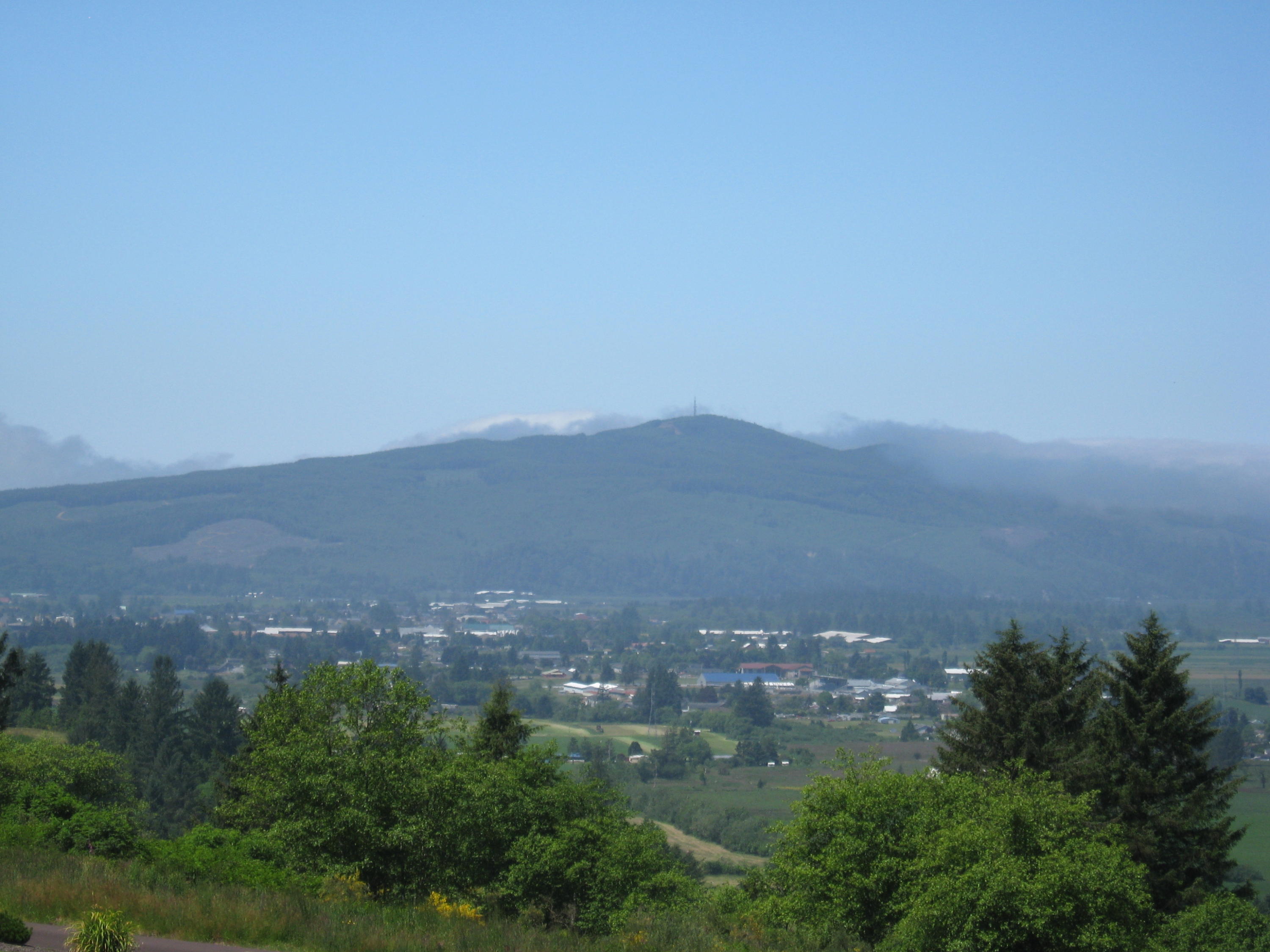 Lot Skyview Lot Skyview Road Tillamook, OR 97141 - Photo 2 of 20 015