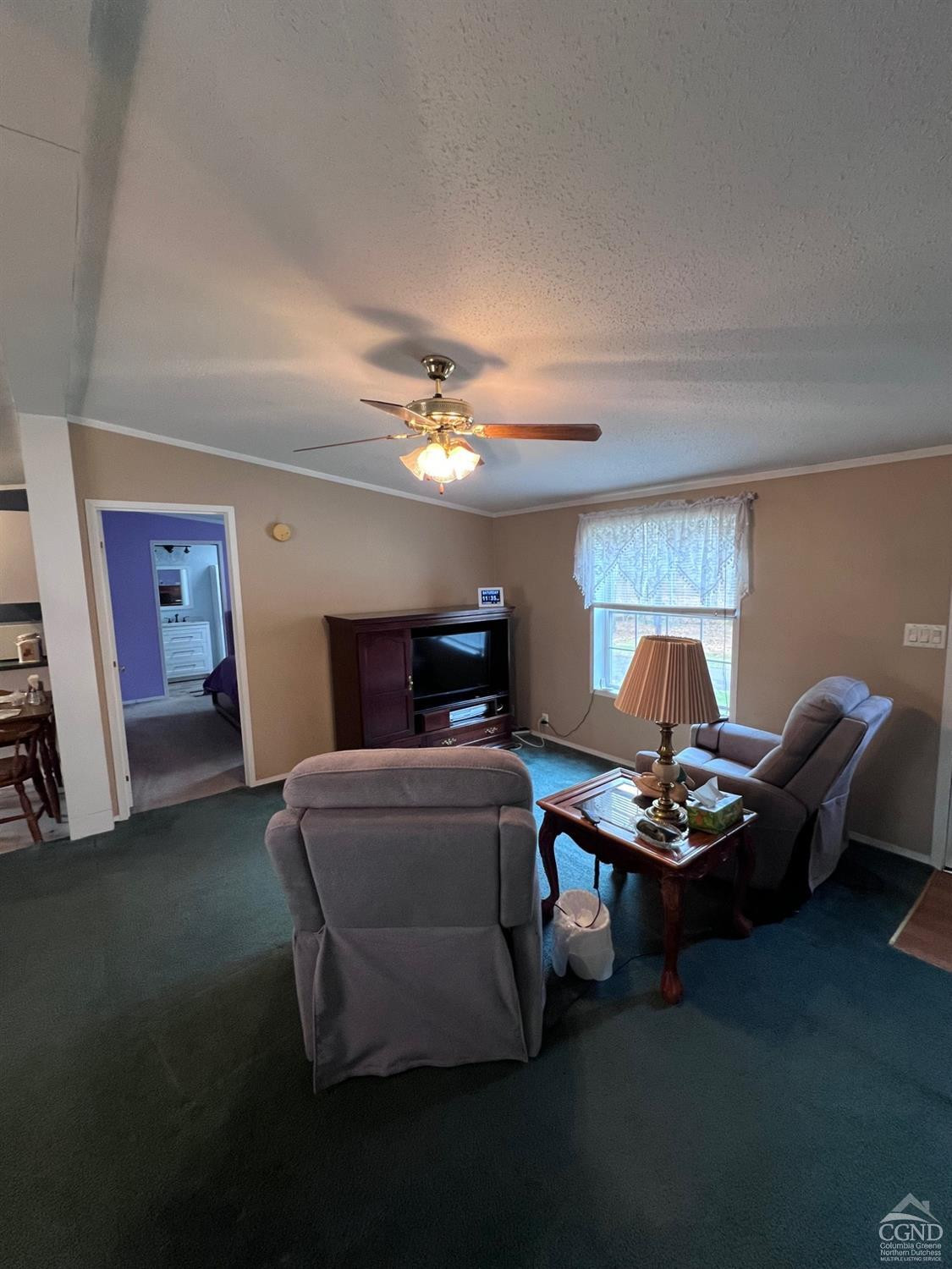 17 North Puffer Road Catskill, NY 12414 - Photo 13 of 26 a living room with furniture and a chandelier